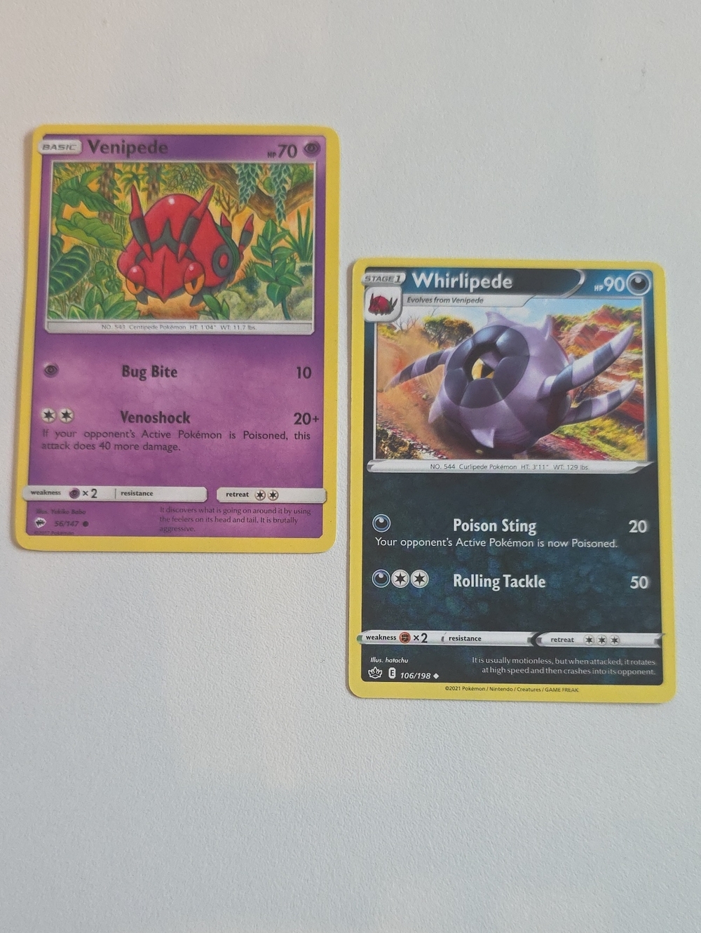 Pokemon Venipede And Whirlipede Card